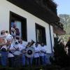 Sauris15