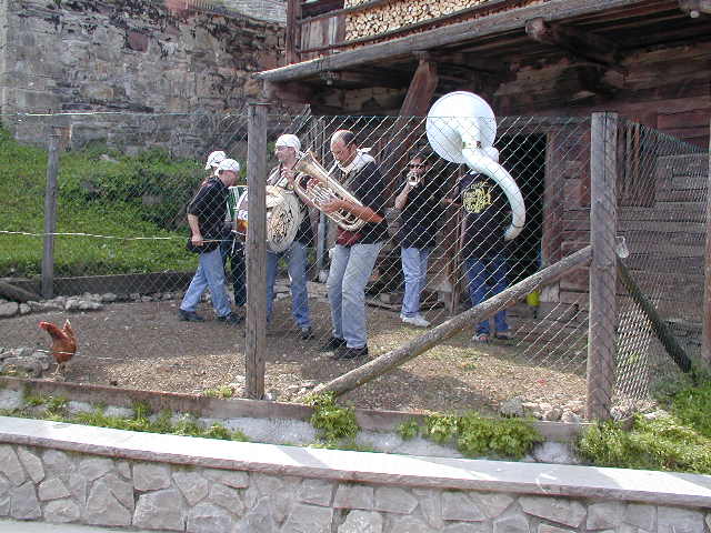 Sauris46