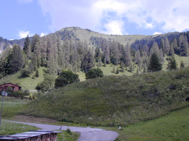 Sauris38