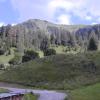 Sauris38